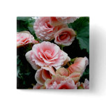 Pink Flowering Begonia Square Pin