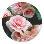 Pink Flowering Begonia Sticker