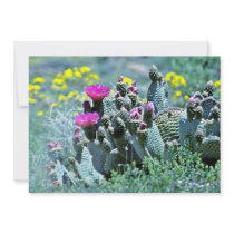 Pink Flowering Cactus Personalized Invite