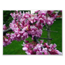 pink flowers 01 photo art