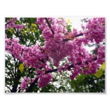 pink flowers 02 photographic print