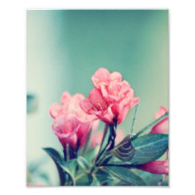 Pink Flowers 8x10 Print Photo Art