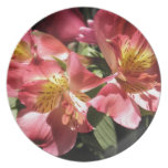Pink Flowers Alstroemeria Floral Collectors Plate