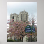 Pink Flowers at Notre Dame Posters