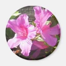 pink flowers azaleas refrigerator magnets