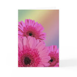 Pink flowers birthday card