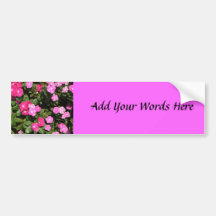 Pink flowers bumper stickers