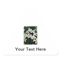 Pink flowers. Clematis. On White. Sticker