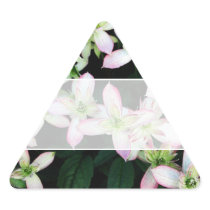 Pink flowers. Clematis. Sticker
