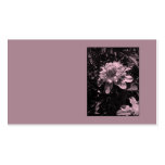 Pink flowers. Clematis. Stylish design. Business Card
