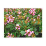 pink flowers & green leaves postcard