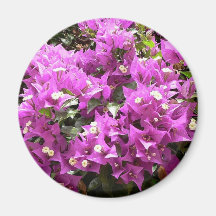 Pink Flowers In Bush Fridge Magnets