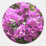 Pink Flowers In Bush Stickers