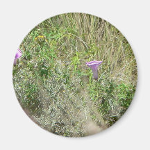 Pink Flowers In The Grass Magnet