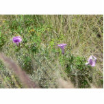 Pink Flowers In The Grass Photo Sculpture