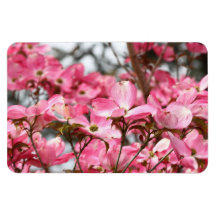 Pink Flowers Magnet