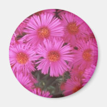 Pink Flowers Magnets