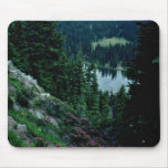 Pink Flowers Overlooking Lake flowers Mouse Pad