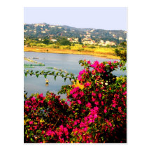 Pink flowers post cards