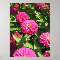 PINK FLOWERS POSTER