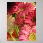 Pink flowers print
