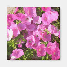 Pink Flowers Refrigerator Magnet