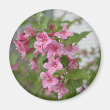 pink flowers refrigerator magnet
