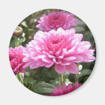 pink flowers refrigerator magnets