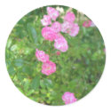 pink flowers stickers