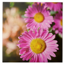 Pink flowers tiles