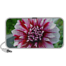 Pink Flowers with various shades of pink Mini Speaker
