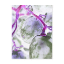 pink fluorescence post cards