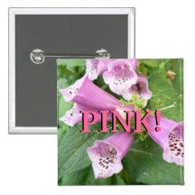 Pink Foxglove