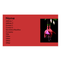 Pink Fuschia Business Cards
