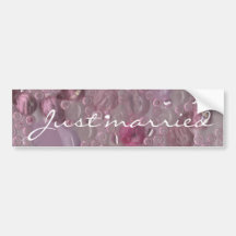 Pink Gems Just Married Bumper Sticker