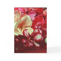 Pink Geranium Blank Greeting Card