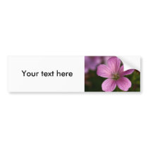Pink Geranium