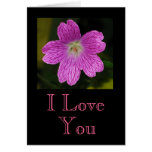 Pink Geranium cards