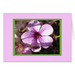 Pink Geranium Card