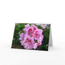 Pink Geranium card