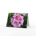 Pink Geranium card