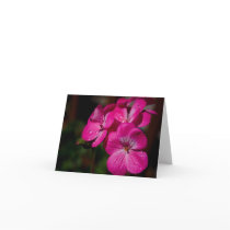 Pink Geranium Note Card