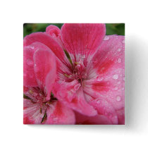 Pink Geranium Petals