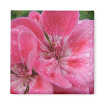 Pink Geranium Petals Fridge Magnet