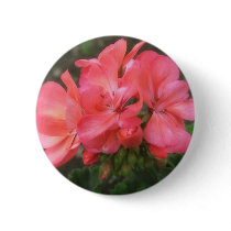 Pink Geraniums 2