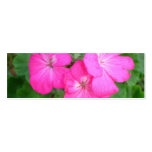 Pink Geraniums Bookmark business cards