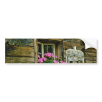 Pink Geraniums in window flowers Bumper Stickers