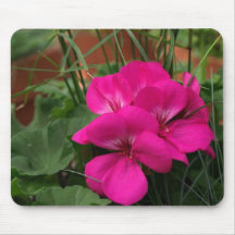 pink geraniums mousepad