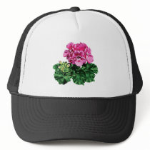 Pink Geraniums with Dew