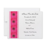 Pink Gerber Daisy Save the Date Wedding Invitation